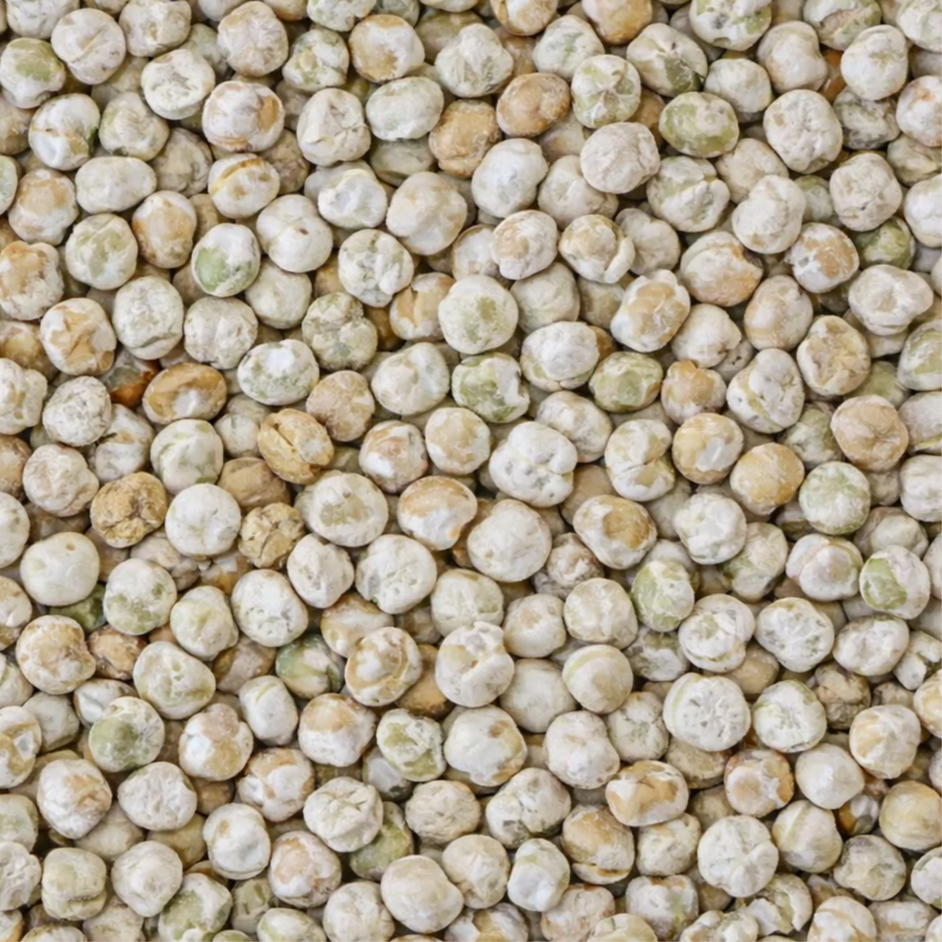 Sea Salt Roasted Peas